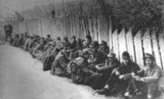 53. Domobrani zarobljeni u Srijemu 1945 travanj