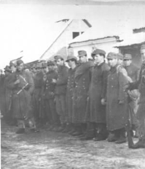 21. Zarobljeni Hrvati kod Brčkog 17. siječnja 1945.